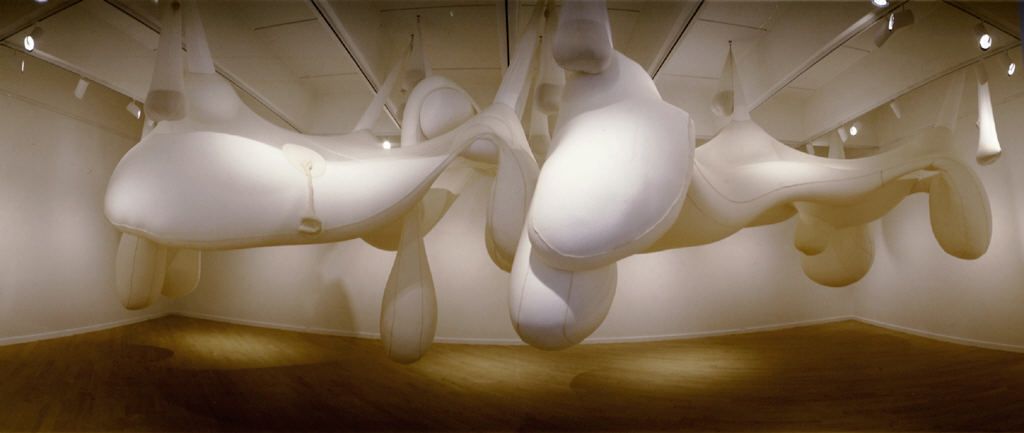 Directions: Ernesto Neto