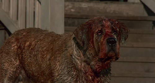 Lewis Teague’s "Cujo," 1983