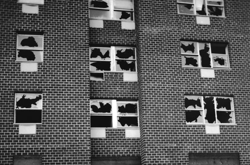 Gordon Matta-Clark, Window Blow-Out (detail), 1976. Generali Foundation Collection, Vienna.