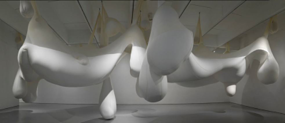 Ernesto Neto, The Dangerous Logic of Wooing