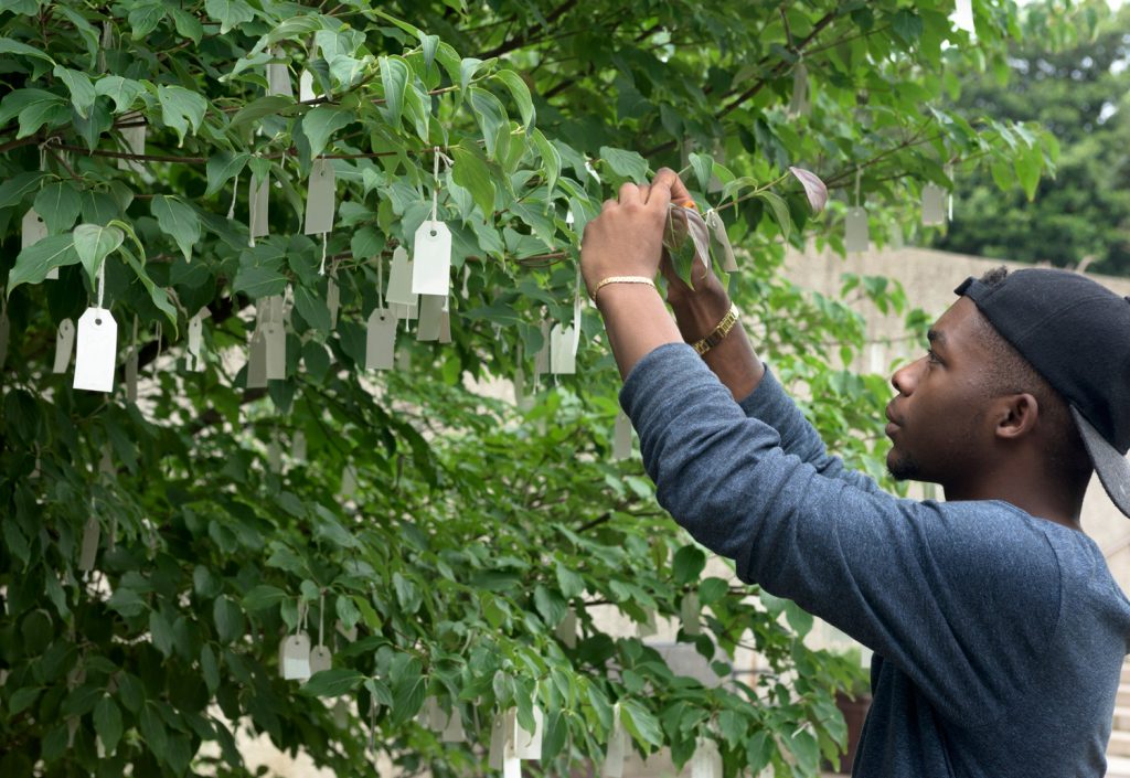 Yoko Ono, “Wish Tree for Washington, DC,” 2007. Installed at the Hirshhorn Museum and Sculpture Garden, Smithsonian Institution, Washington, D.C. Photo by: Jazmine Johnson 