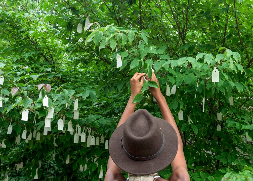 Wish Tree for Washington DC - Hirshhorn Museum and Sculpture Garden