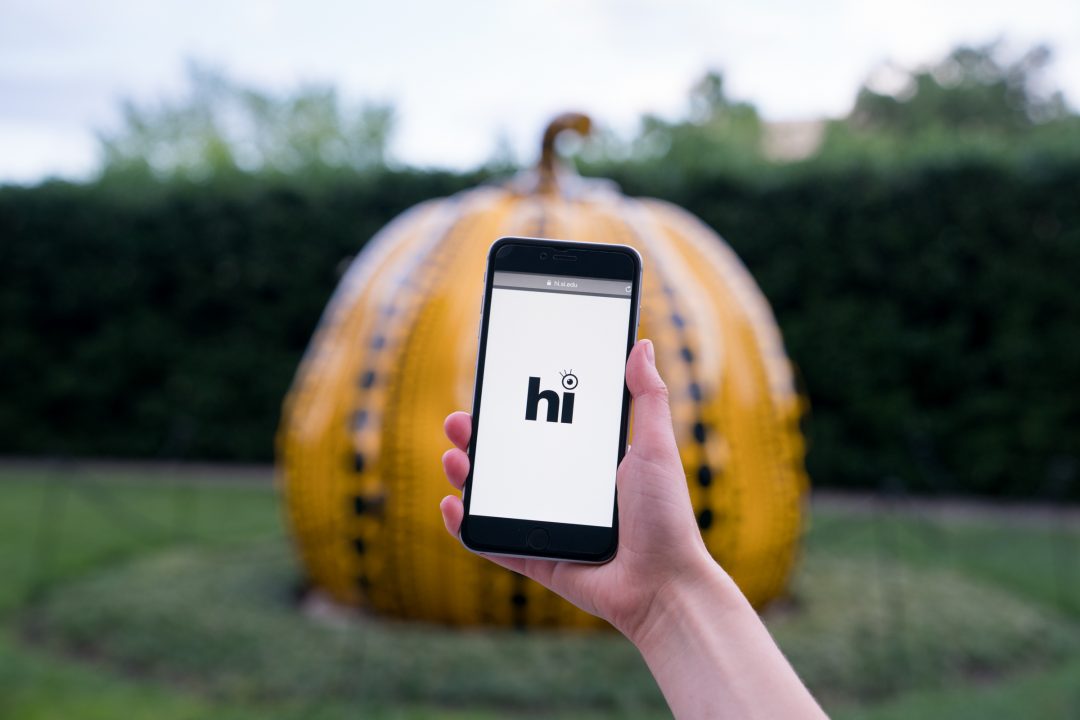 Yayoi Kusama, Pumpkin, 2016