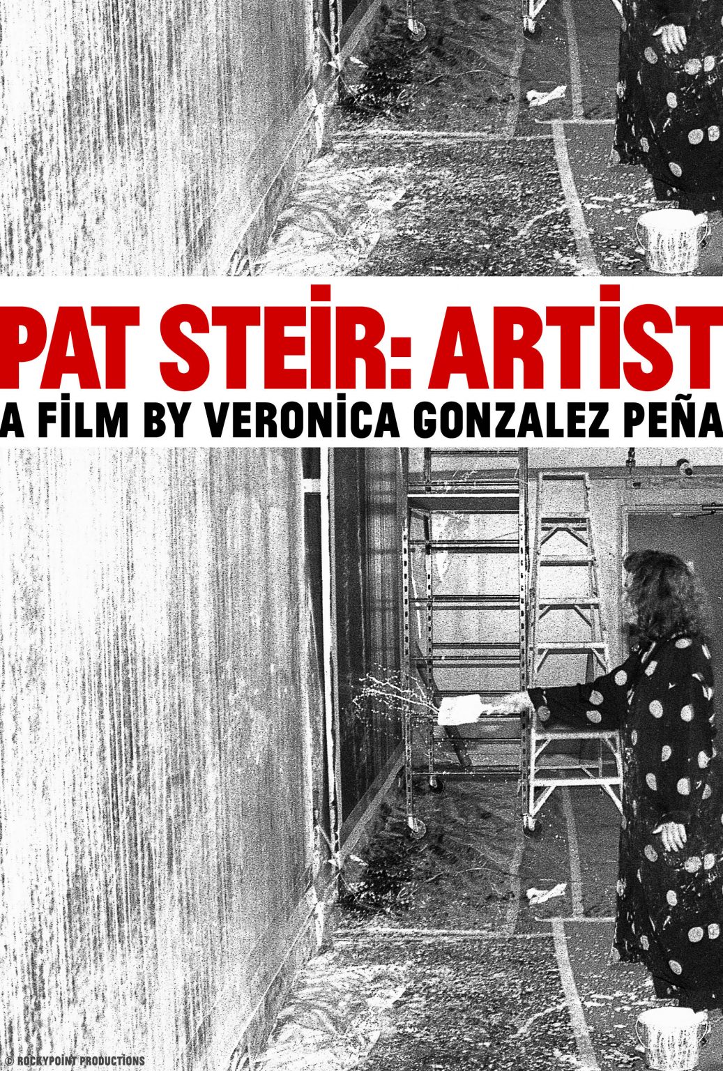 Film+Talk Pat Steir Artist Hirshhorn Museum and