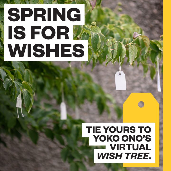 Text reads "Spring is for wishes. Tie Yours to Yoko Ono's Virtual Wish Tree."