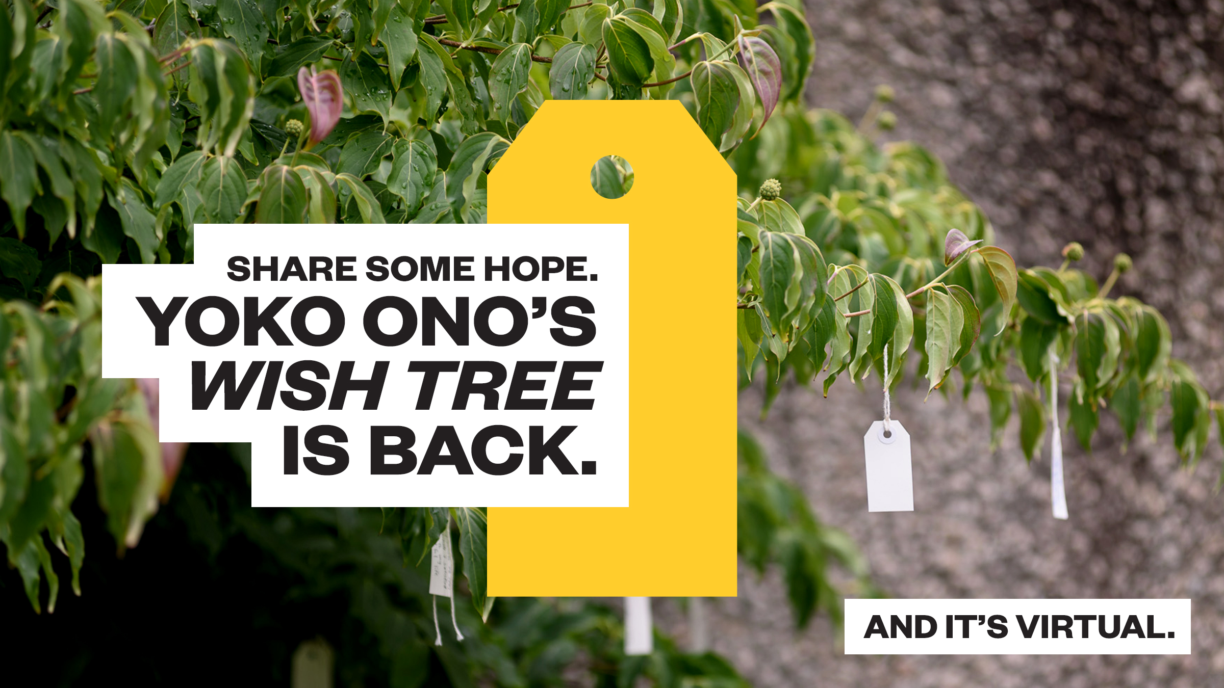 Text reads "Share Some Hope. Yoko Ono's Wish Tree is Back. And It's Virtual"