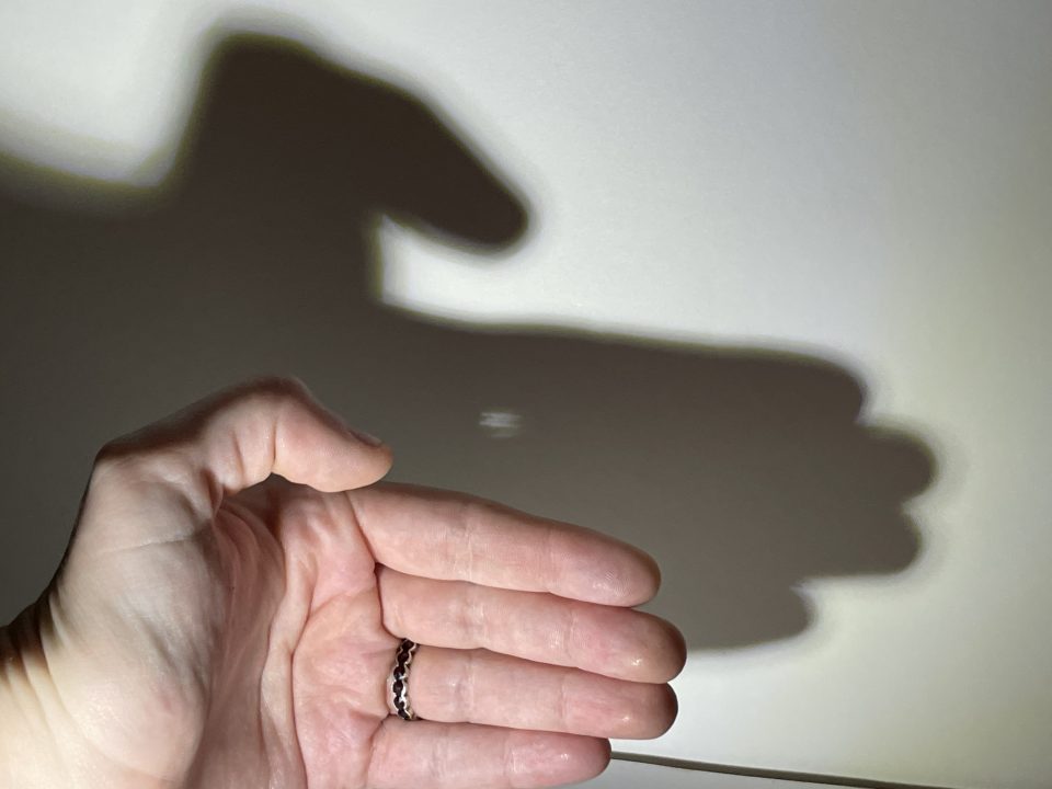 A light shines on a hand. The fingers are closed with the thumb slightly raised. In the background, the hand’s shadow can be seen on the wall.