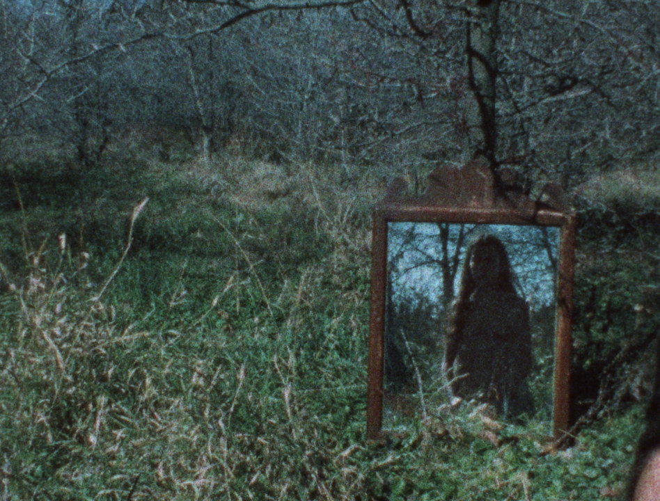 A mirror sits in a green tinted forest