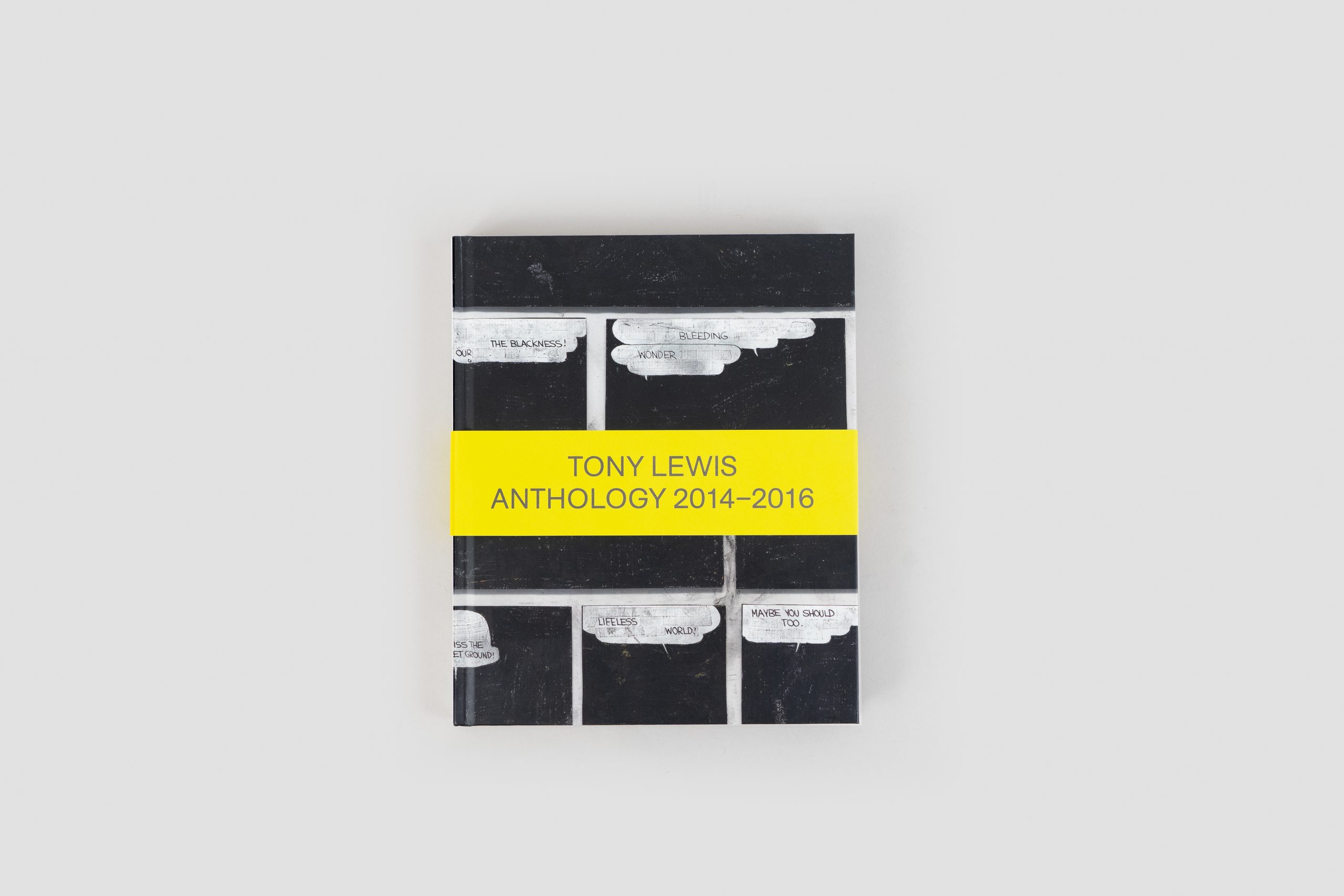 Cover of catalogue. Reads "Tony Lewis: Anthology 2014-2016"